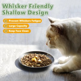 Petdream 4 Pcs Wide Whisker Friendly Cat Dishes Set 6.7", Stainless Steel Cats Bowls, Shallow Food Bowl, Indoor Kitten Feeding Wet & Dry Food Dish to Prevent Whisker Fatigue(13 OZ)