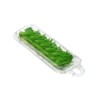 Smygoods Disposable Clear Plastic Clamshell Containers for Herbs (Pack of