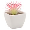 6PCS Potted Artificial Succulents Artificial Plants in Pots Plastic Fake