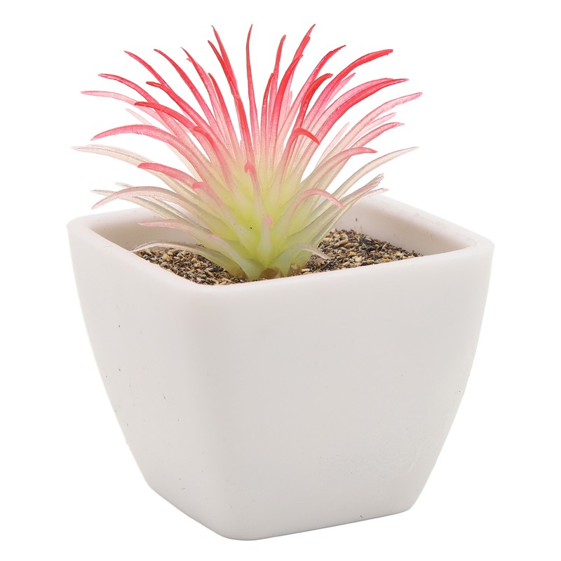 6PCS Potted Artificial Succulents Artificial Plants in Pots Plastic Fake