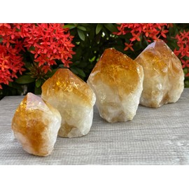 GAF TREASURES Standing Citrine Top Polished Rough Point, Deep Orange Citrine Crystal Point Cut Base, Money Stone, Success Stone (8-10 oz)