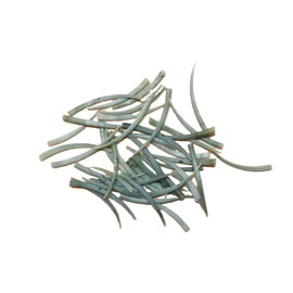 40 - Natural Green Dentalium Aprinum Seashells, Sailors Valentines, Beach Art, Upscale Shell Craft, SS-523