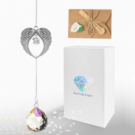 Memorial Gifts for Loss of Loved One, Clear Crystal Ball Suncatcher, Bereavement Grief Gift Box for Loss of Mother Father Husband Son Daughter Dog Cat Pet (Paw print + Crystal Ball)