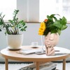 Unique Head Plant Pot with Drainage Hole Resin DIY Face