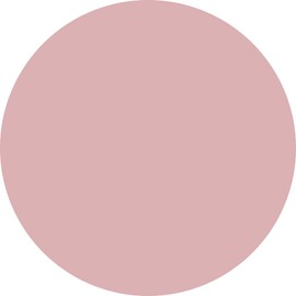 PREGEL Muse Color Gel Touch Skin 3g PGU-M371