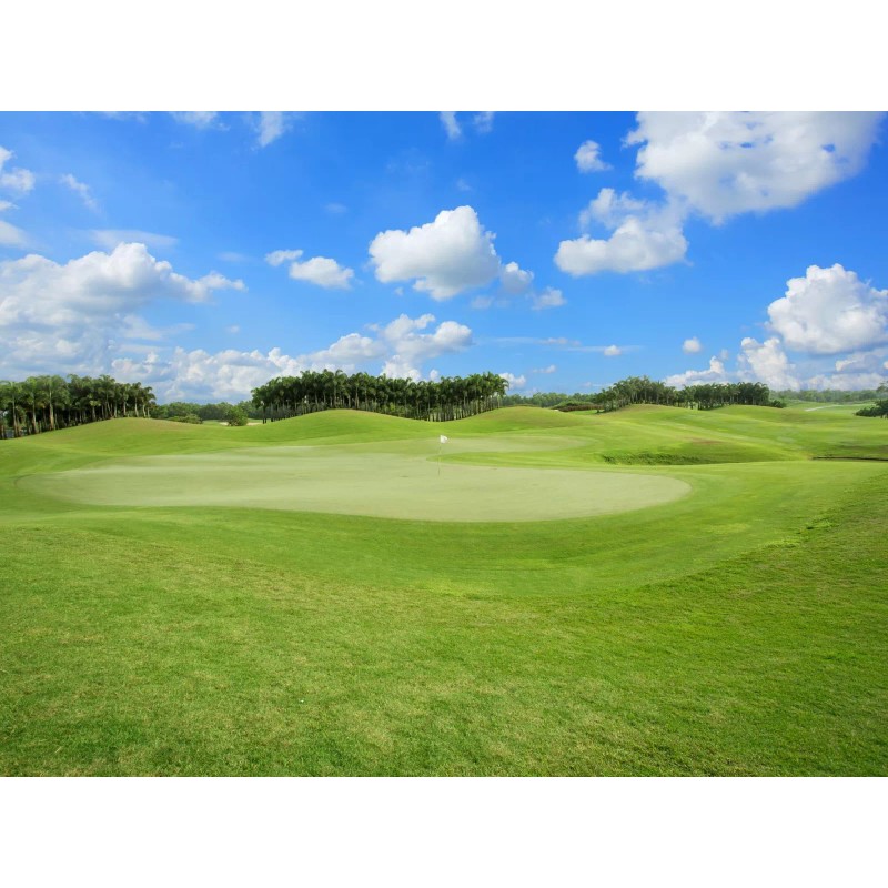 Evergreen Farm and Garden Diamond Pro Green Divot Sand -