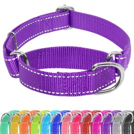 Seyezo Martingale Dog Collar, Slip Martingale Collar with No Buckle, Adjustable Pet Trainning Collar for Small Medium Large Dogs, Reflective Heavy Duty Nylon No Pull Martingale Collar, S, Purple