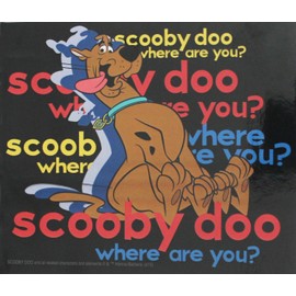 C&D Visionary Licenses Products Hanna Barbera Scooby Doo Where are You Sticker