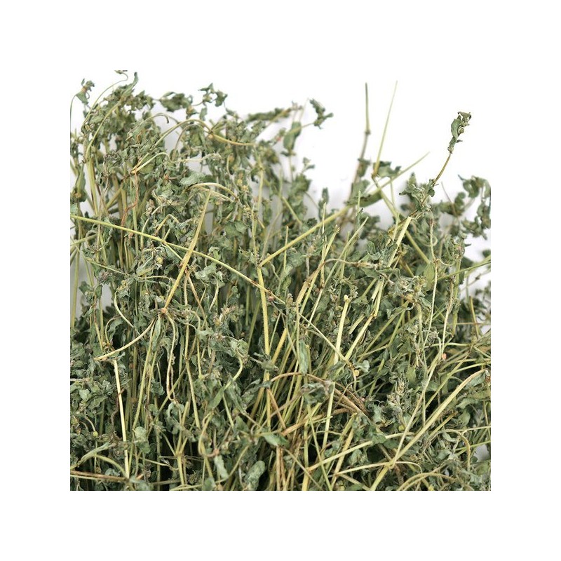 Donguihanjae 동의한재 국산 햇 비단풀 땅빈대 300g Korean Domestic Fresh
