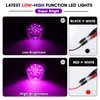 Ledvillage 2PCS Clear Lens Purple Watermelon LED Lights Low/High Dual