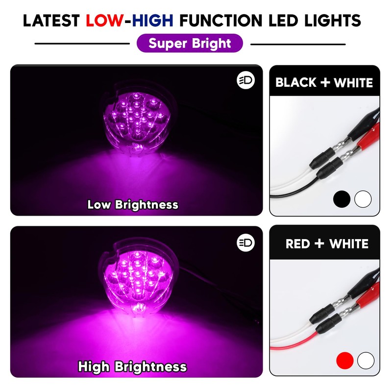 Ledvillage 2PCS Clear Lens Purple Watermelon LED Lights Low/High Dual