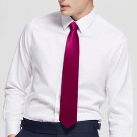 Luckyvestir Mens Tie Solid Satin Neck Ties 3.15'' Formal Necktie for Wedding Business Christmas Father's Valentine's Day Gift