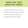 JSHealth Vitamins Gut Health and Immunity Formula | Probiotics for