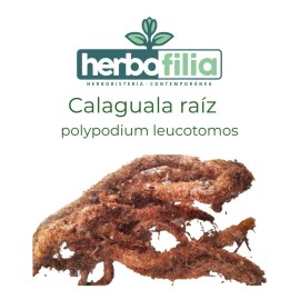 Calaguala Polypodium Leucotomos Raíz 1 Cremas De 60gr C/u Calaguala