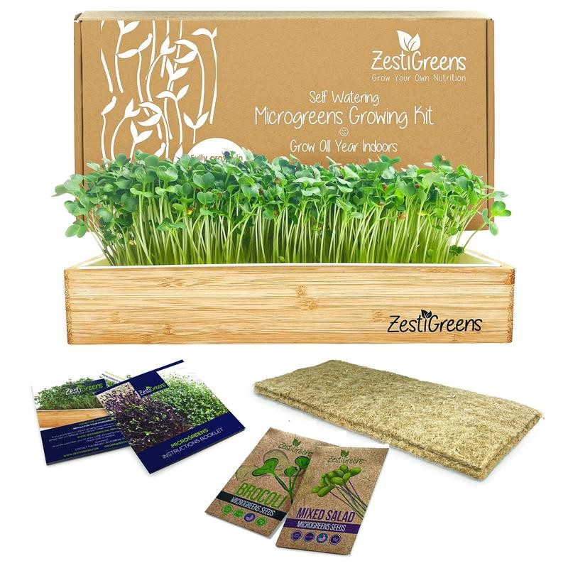 ZESTIGREENS Microgreens Kit: Self-Watering Tray, Seeds, Mats, Bamboo Frame -