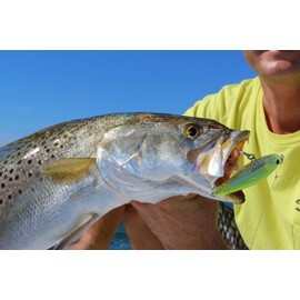 Yo-Zuri 3D Inshore Twitchbait Slow Sinking Lure, Ghost Shad, 90mm/3-1/2"