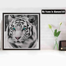 Bimkole 5D Diamond Painting Kits Blue-Eyed White Tiger, Full Drill Animals DIY Rhinestone Embroidery Set Paint with Diamonds Art by Number Kits Cross Stitch Home Wall Craft Decoration 12X12 inch
