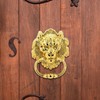 Cionyce 1 Pack Zinc Alloy Door Knocker Lion Shape Dooer