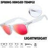 The Fresh Matte Frosted Frame Mirror Lens Spring Temple Horn