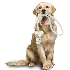 4DOGS Dog Rope Toy for Dog Teeth Cleaning Combined with Natural Dog Chew Antler, This is 100% Natural Gluten Free, GMO Free Dog Toys - 1 Piece Loop - Large Mix