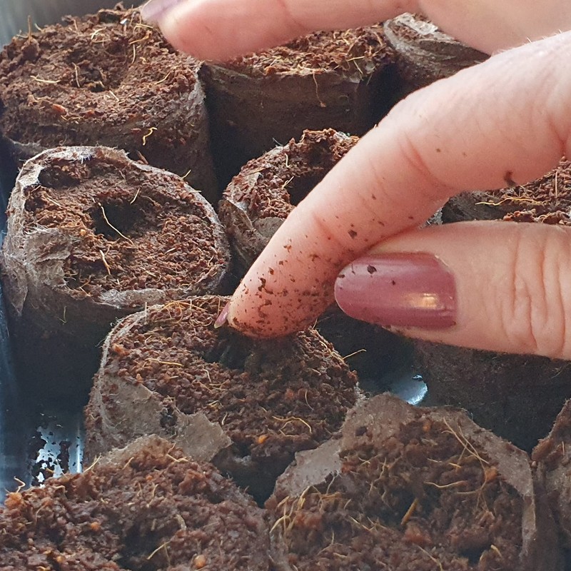 Plant Starter Pellets 36mm x 20 Made With Coco Coir