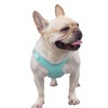 Benala No Pull Dog Harness Leash Reflective- Velvet Pet Harness