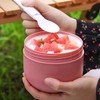AIMALL Stainless Steel Insulated Food Jar, 20 oz Thermos Food