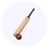 24 x 40mm Round 'Cricket Bat & Ball' Stickers (SK00054713)