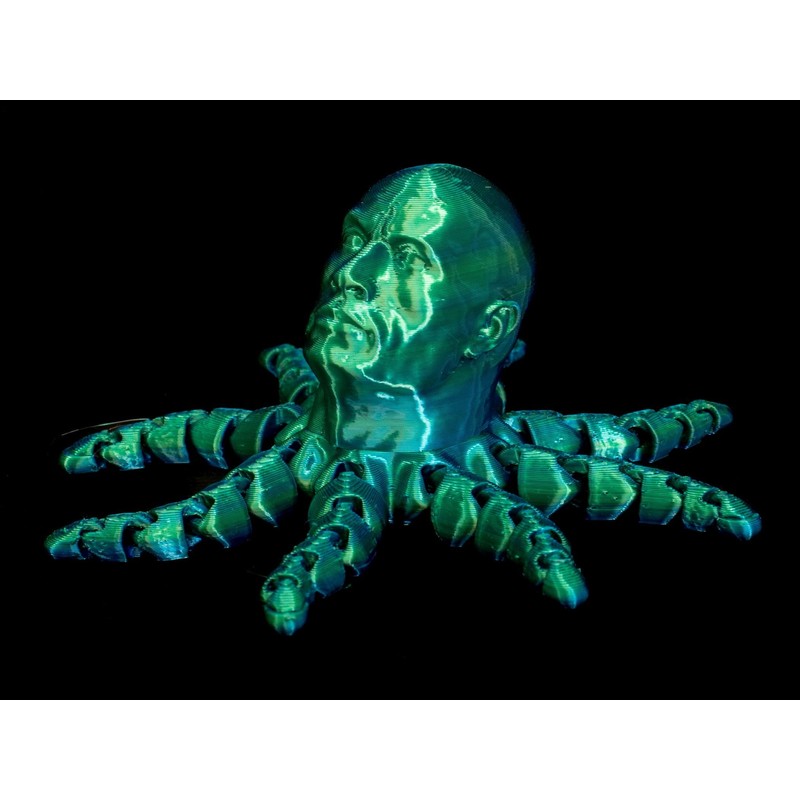 The Rocktopus Flexible Articulating 3D Printed Companion - Rock Dwayne