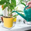 LNQ LUNIQI 10 Pcs 6 Inches Square Plastic Plant Saucer