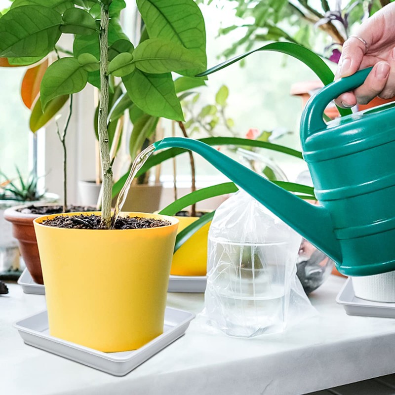 LNQ LUNIQI 10 Pcs 6 Inches Square Plastic Plant Saucer