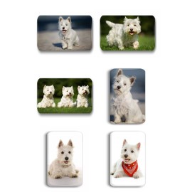 West Highland Terrier Westie Dog Rectangular Fridge Magnets 6 x 4 cm/01