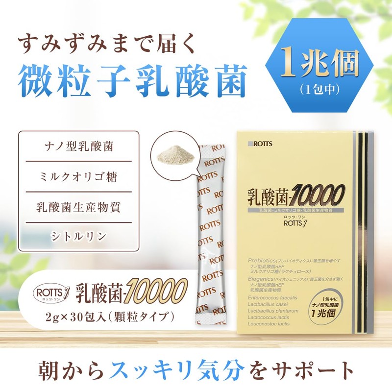 乳酸菌10000／ROTTS-1（2g×30包） ナノ型乳酸菌 微粒子乳酸菌 ミルクオリゴ糖 ラクチュロース 乳酸菌生産物質 シトルリン イヌリン 配合 サプリメント