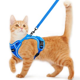 Kaazylab Cat Harness and Leash for Walking, Escape Proof, Adjustable, Comfortable Soft Vest, Easy to Wear Kitten Harness with Reflective Strip for Outdoor Travel, Gem Blue, M