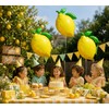 Yellow Lemon Balloons,Lemonade Balloons for Freshly Graduated Lemon Decor,She Found
