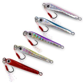 Wild Scene Metal Jig Ajing Set, 1.2 oz (3.5 g), 0.2 oz (5.5 g), 1.6 oz (4.0 cm), Set of 5, Assist Hook, Standard Equipment, Lure Case Included