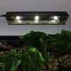 Aiicioo Reptile LED UVB Light - LED Terrarium Light with