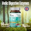 Vedic Digestive Enzymes + Herbs Complex for Better Digestion &