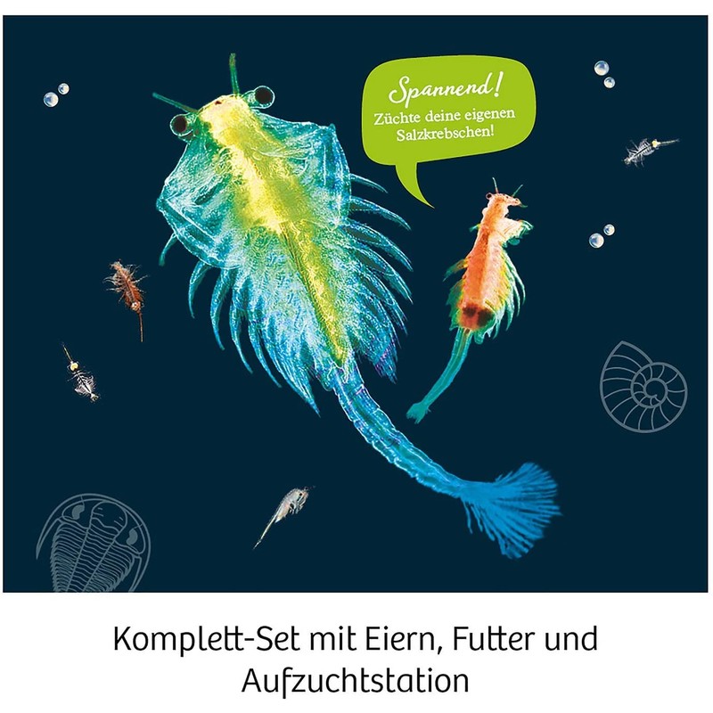 KOSMOS Prehistoric Crabs Experiment