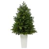 Nearly Natural 3.5ft. Washington Fir Artificial Christmas Tree with 50