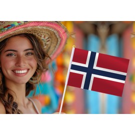 25 Pack Norway Handheld Small Flag,Mini Norwegian Hand Held Miniature Stick Decor