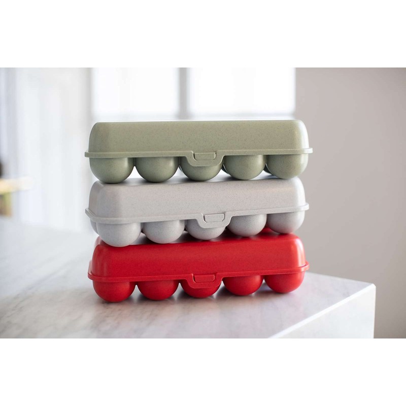EGGS TO GO egg box Green