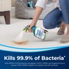 Woolite Advanced Pet Stain & Odor Remover + Sanitize, 11521