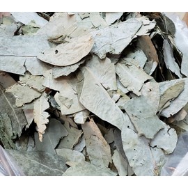 BAÑO DE EUCALIPTO QUITA LA MALA SUERTE ANTI ESTRES RELAJANTE ATRAE DINERO !!