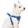 Blueberry Pet Essentials Pastel Color Reflective Matching Dog Harness Vest