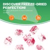 Freeze Dried Dragon Fruit, Freeze Dried Fruit, 150G/5.3OZ No Sugar