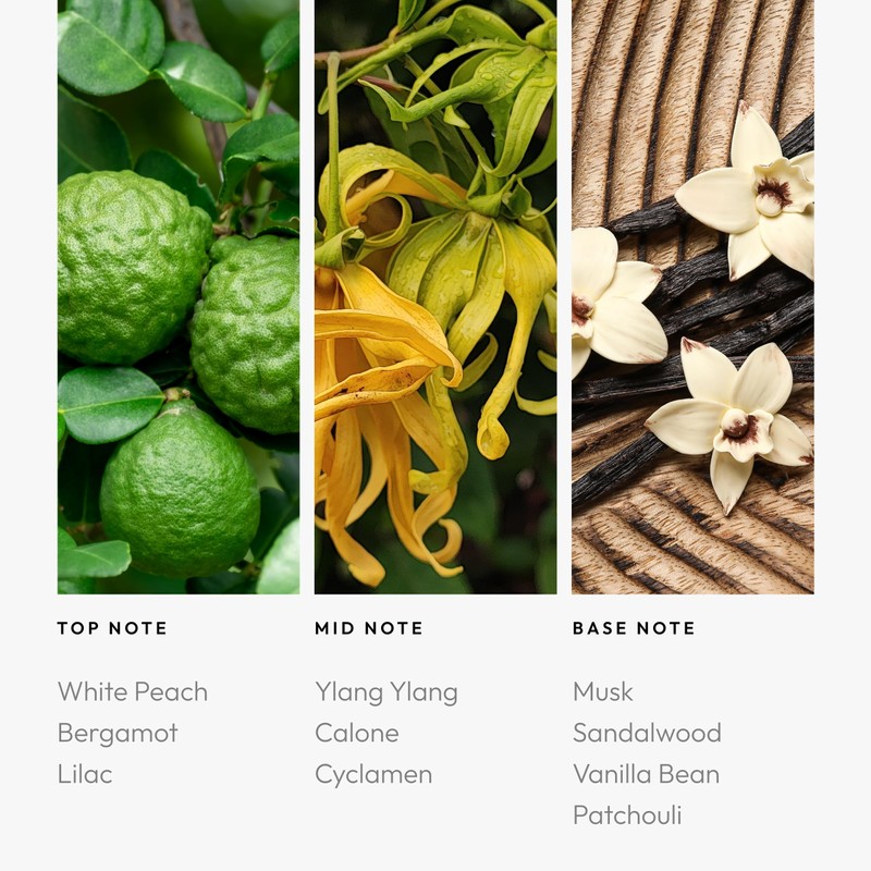 Aroma360 Fragrance Diffuser Oil - Luxury Hotel Inspired - Smooth