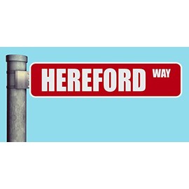 HEREFORD WAY STREET SIGN HEAVY DUTY ALUMINUM ROAD SIGN 17" x 4"