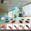 80 Pack Cockroach Gel, Upgraded Indoor Roach Gel Fast-Acting &