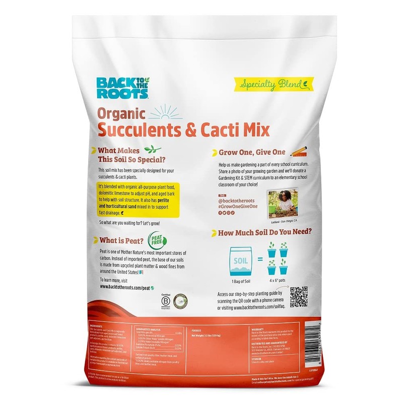 Back to the Roots 6qt Succulent & Cacti Mix